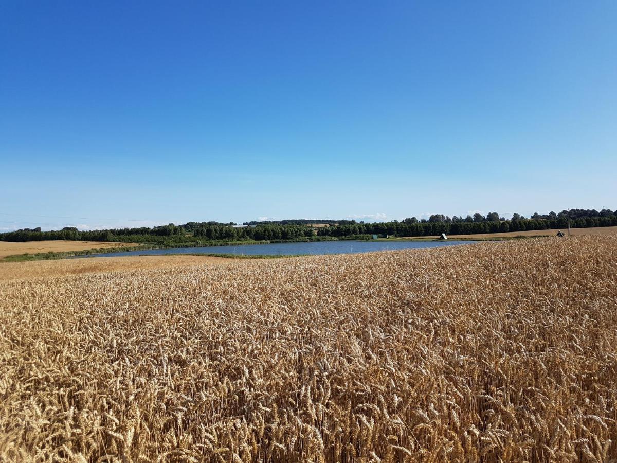 Sterla - Masuria Villa Gizycko Bagian luar foto
